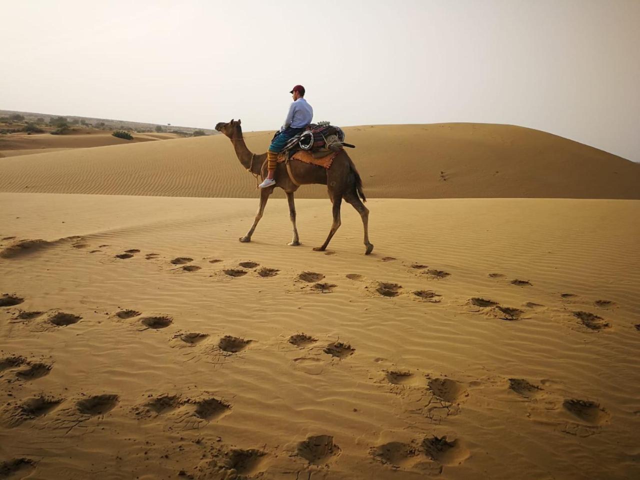 Hotel Renuka Jaisalmer Zewnętrze zdjęcie